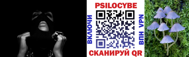 где купить наркоту  Яровое  kraken маркетплейс  Псилоцибиновые грибы Psilocybine cubensis 